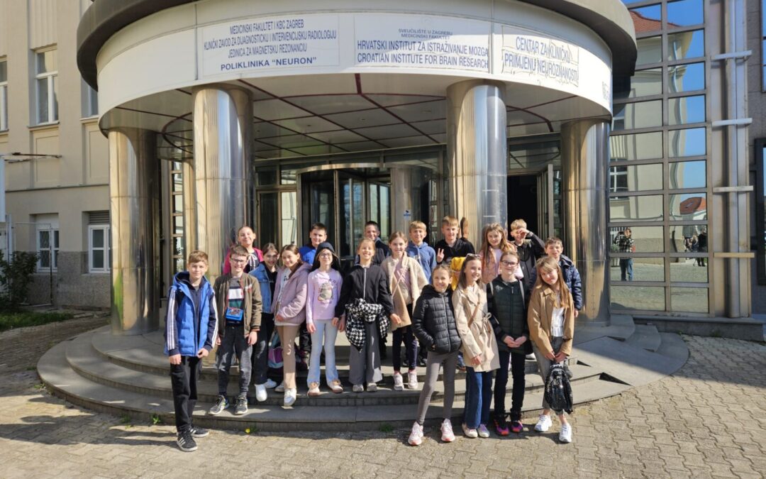 Tjedan mozga – posjet Hrvatskom društvu za neuroznanost
